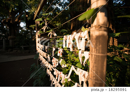 お寺、御神籤 お寺、御神籤 18295091