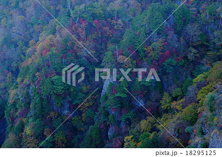 大台ケ原の秋（奈良県吉野郡上北山村） 18295125