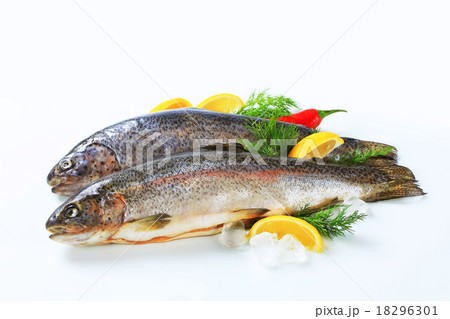 Two fresh trout 18296301