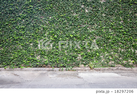 Coatbuttons on the wall, fresh 18297206