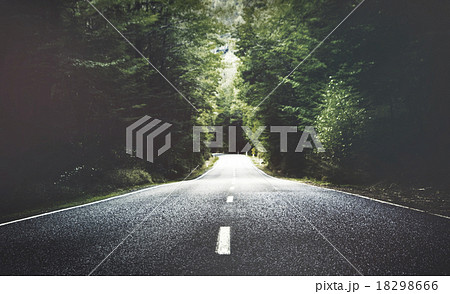 Summer Country Road With Trees Beside Concept Summer Country Road With Trees Beside Concept 18298666