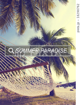 Summer Paradise Search Website Beach Concept 18298762
