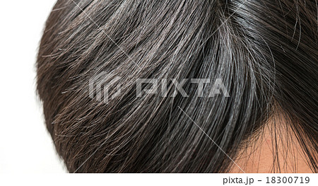 ヘア ヘア 18300719