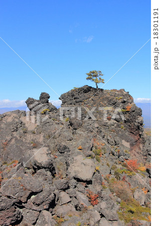 鬼押出し園の溶岩石 18301191