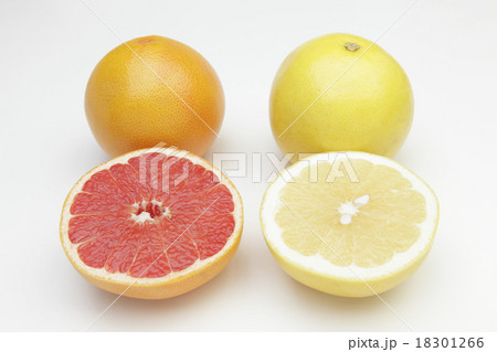 グレープフルーツ二種類 18301266