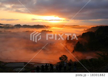 峠の棚田 峠の棚田 18301882
