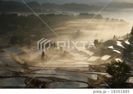 峠の棚田 峠の棚田 18301885