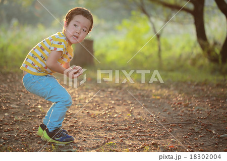 どんぐりを夢中で拾う子ども 18302004