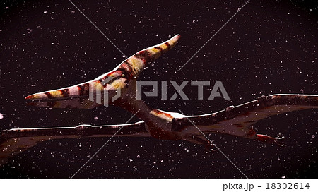 Huge pterodactyl over land 18302614