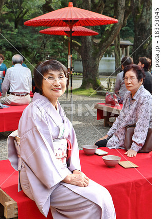 野点お茶会　女性　ニーアップ 18303045