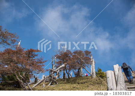 大台ケ原　日出ヶ岳展望台への階段 18303817