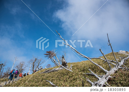 大台ケ原　正木ヶ原の立ち枯れの山 18303893