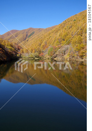 秋の湖 18304567