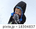 雪遊びする男の子 18304837