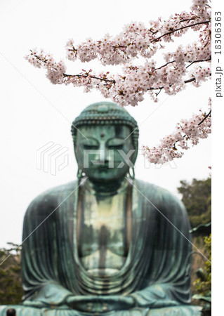 The Great Daibutsu, Buddha of Kamakura  18306363
