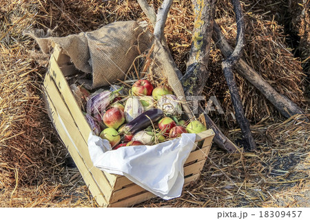 Vegetables and fruits in a basket Vegetables and fruits in a basket 18309457