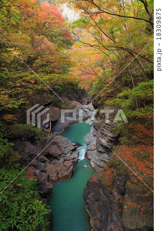 吾妻渓谷　紅葉 18309875