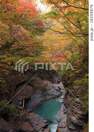 吾妻渓谷 紅葉 吾妻渓谷 紅葉 18309876
