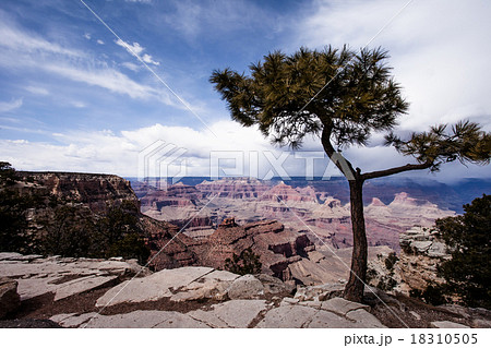 Grand Canyon National Park, Arizona Grand Canyon National Park, Arizona 18310505