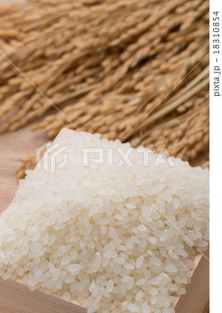 白米と稲穂　 18310854