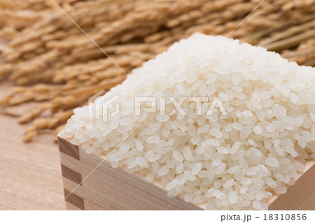 白米と稲穂　 18310856