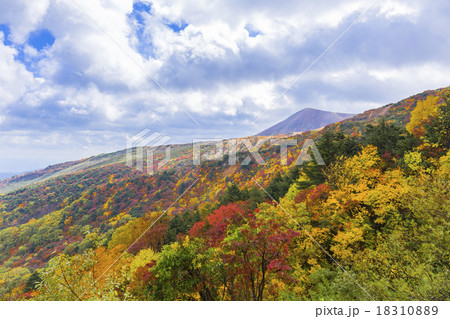 天狗の庭の紅葉 天狗の庭の紅葉 18310889