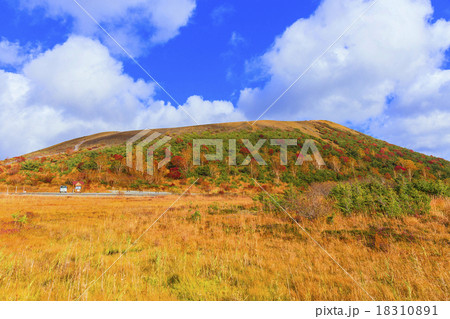 秋の吾妻小富士 18310891