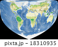 世界植生地図 18310935