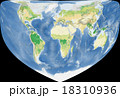 世界植生地図 18310936