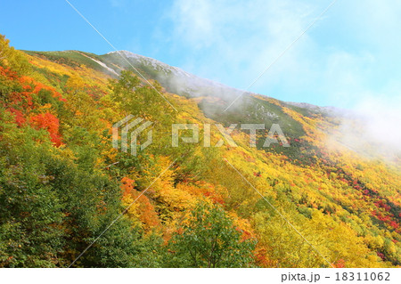 紅葉の北アルプスその7: 山岳賛画その7: 信州の紅葉その7: 山河が織りなす色紙その18 紅葉の北アルプスその7: 山岳賛画その7: 信州の紅葉その7: 山河が織りなす色紙その18 18311062