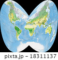 世界植生地図 18311137