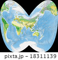 世界植生地図 18311139