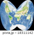 世界植生地図 18311142
