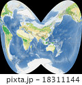 世界植生地図 18311144