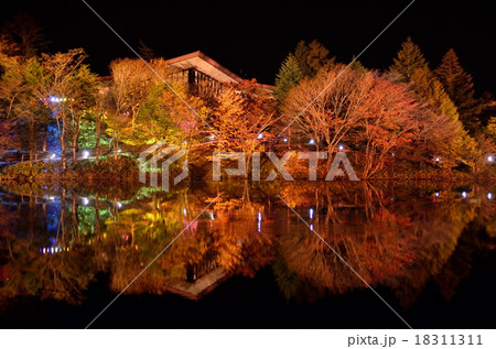 茶臼山紅葉シリーズ ライトアップその１の写真素材