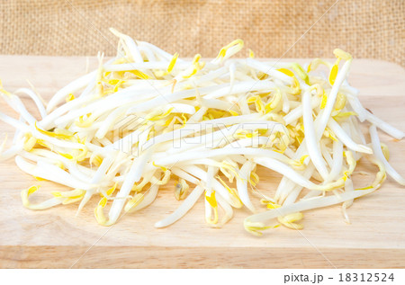 Mung beans or bean sprouts. 18312524