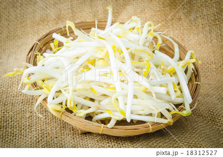 Mung beans or bean sprouts. 18312527