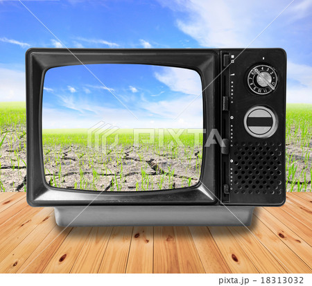 TV vintage and Agriculture paddy field 18313032