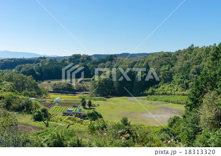 裾野市の農村風景 18313320