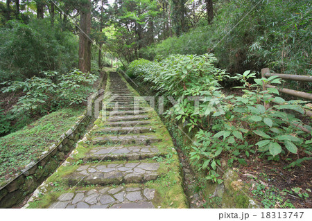 恩賜箱根公園　二百階段 18313747
