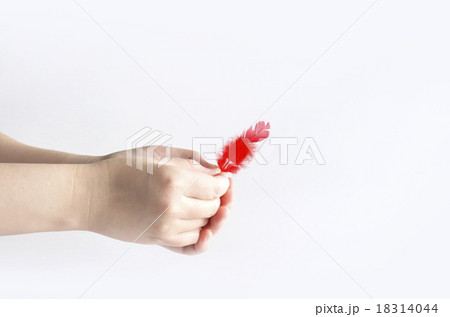 赤い羽根 18314044