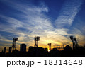 新宿の夕暮れTokyoSky 18314648