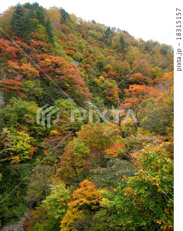 奥胎内の紅葉 18315157