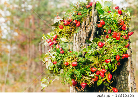 wreath of wild rose and tree branches wreath of wild rose and tree branches 18315258