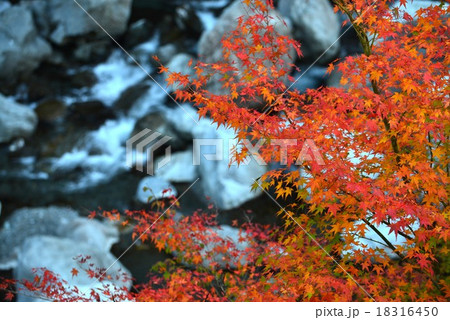 渓谷の秋1　（徳島県那賀町　四季美谷渓谷　坂州木頭川） 18316450