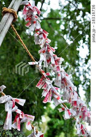 伊豆山神社 伊豆山神社 18316736