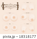 乳房 形 Breast Shape chart 18318177