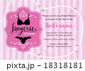 Lingerie shower 18318181