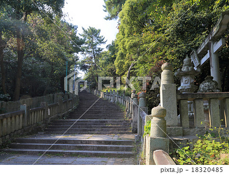 香川県観音寺市、「琴弾八幡宮」参道（378段の石段）（右は船霊大神、奥は義経公奉納の木乃鳥居） 18320485