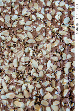 Homemade brownie. 18320501